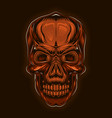 stylized skull in vintage style vector image