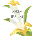 greeting card template with yellow gladiolus vector image