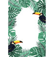 tropical leaves exotic toucan bird border frame vector image