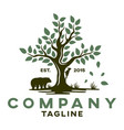 modern tree with bear and woodpecker logo vector image