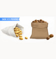 potato sack realistic composition vector image