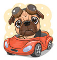 cartoon pug dog boy in glasses goes on a red car vector image