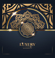 luxury golden mandala background free vector image vector image