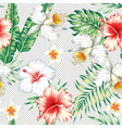 plumeria hibiscus flowers green leaves seamless vector image