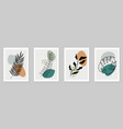 set botanical wall art vector image
