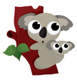 koala bear vector image