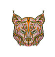 ethnic lynx vector image