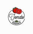 tomato vegetable logo round linear vector image vector image