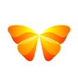 shiny butterfly vector image vector image