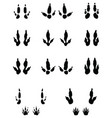 black traces of kangaroo paws vector image