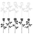 set of black and white with roses vector image