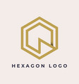 simple line abstract hexagon logo template vector image