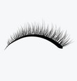 logo of eyelashes stylized hair abstract lines vector image vector image