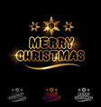 golden merry christmas text with snow flake sign vector image vector image