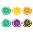 lemon vector image vector image