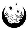 magic black moon with stars and lotus on white vector image