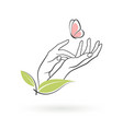 icon female hands vector image