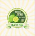 lemon green retro vintage background vector image