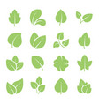 green tree leaves ecology friendly natural vector image
