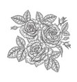rose flowers and leaves in vintage style hand vector image