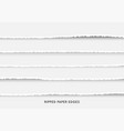 set of ripped and torn paper stripes texture vector image