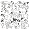 dogs doodles vector image