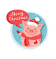 merry christmas flat icon with funny pig santa vector image
