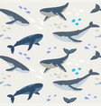 seamless whales vector image vector image