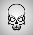 skull vector image