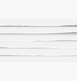 set of ripped and torn paper stripes texture vector image