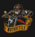 bulldog biker colorful vintage emblem vector image vector image