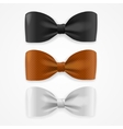 colorful bow tie set vector image