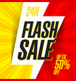flash sale banner vector image