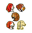 hound dogs mascot collection vector image vector image