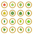different leafs icons circle vector image