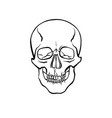 human skull 2 vector image vector image