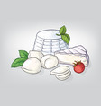 cheese ricotta mozzarella hand drawn watercolor vector image