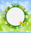 easter card with grass and eggs vector image