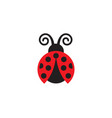 ladybug vector image vector image