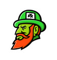 leprechaun head mascot vector image vector image