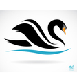 swans vector image vector image
