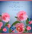 roses and butterflies vector image