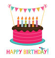 birthday cake with candles vector image