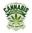 cannabis emblem vector image vector image
