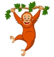cute orangutan cartoon hanging on a tree branch vector image