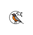 american robin logo template vector image vector image