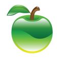 apple vector image vector image