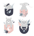 cute bear anteater badger and wolf vector image vector image