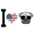 i love pugs with american symbols vector image