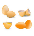 set of realistic chicken egg farm broken vector image
